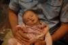 dsc_4210_small.jpg